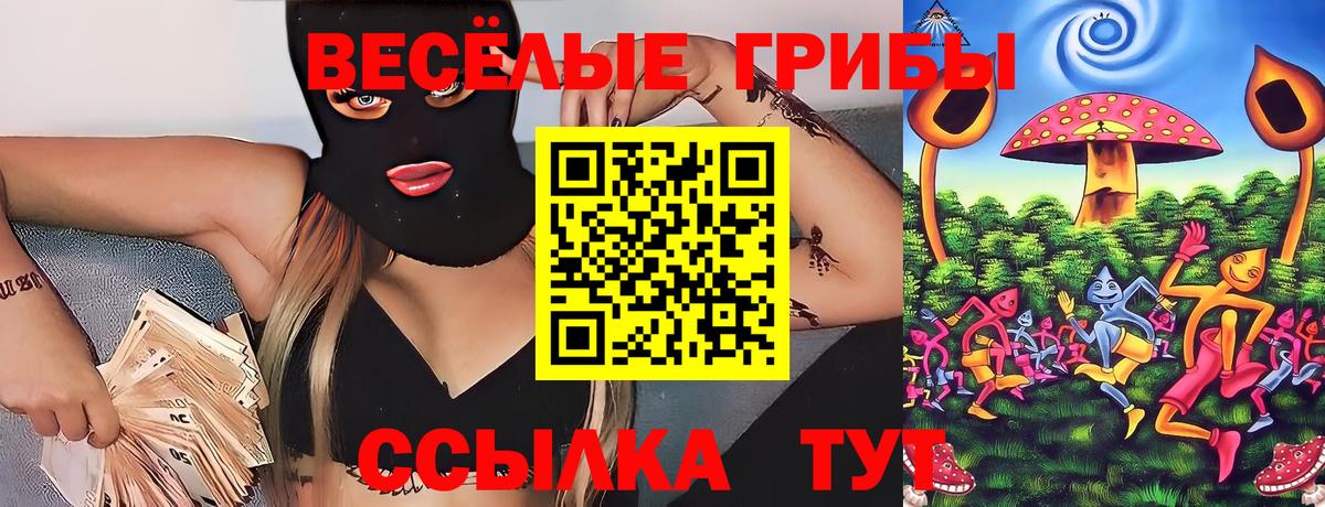 Псилоцибиновые грибы прущие грибы  Вход с VPN  Котовск 
